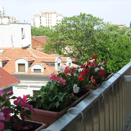Appartamento One Bedroom Dorcol Live
